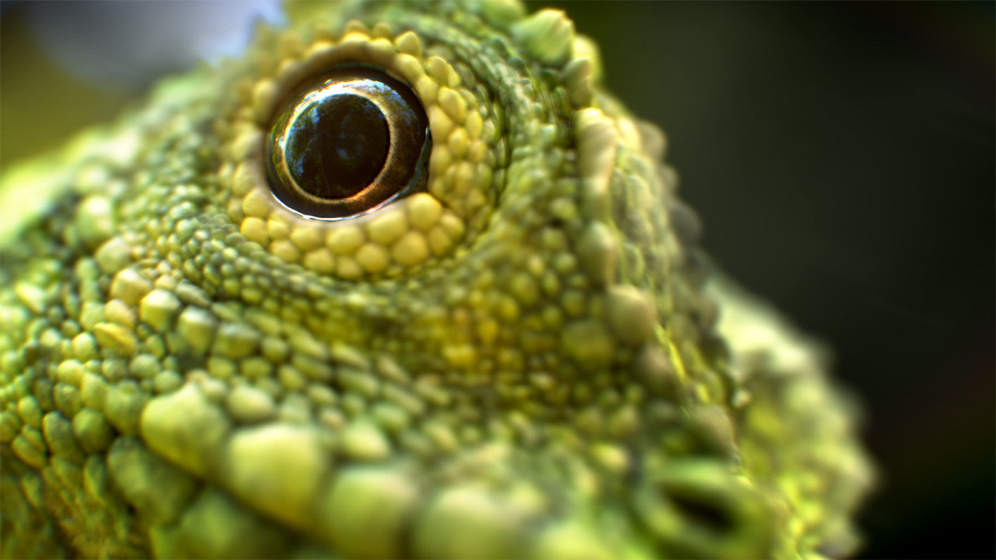 Zbrush - Lizard scales PACK
